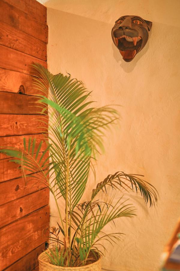 Blue Pepper Beds Sayulita Hostel Buitenkant foto